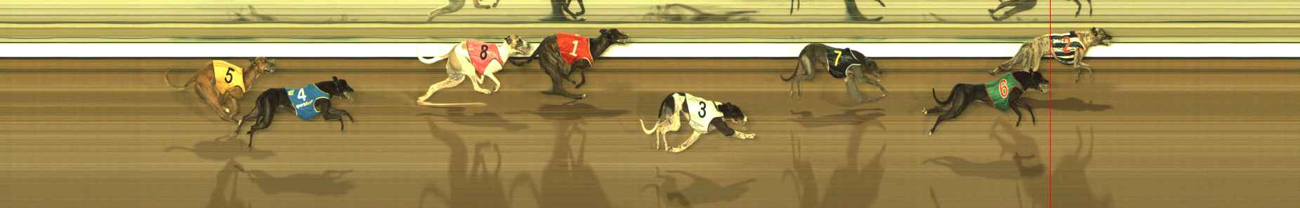 Race result finish photo